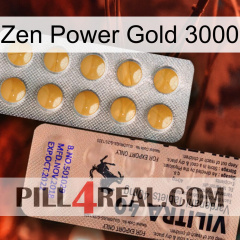 Zen Power Gold 3000 41